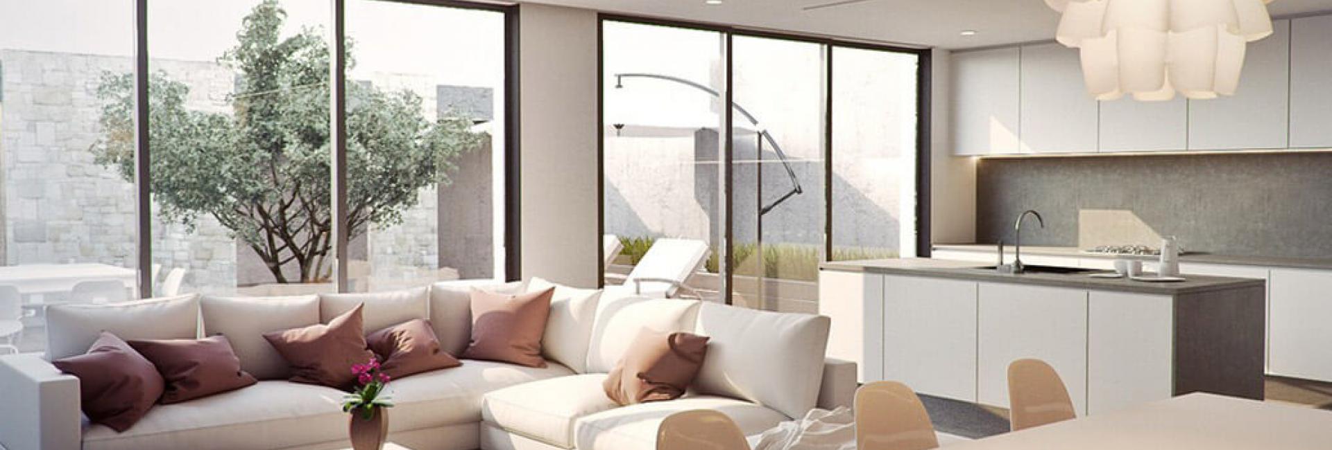 Business opportunity for companies that have an existing, well-established business presence, the necessary capital and the desire to build a business for the future.